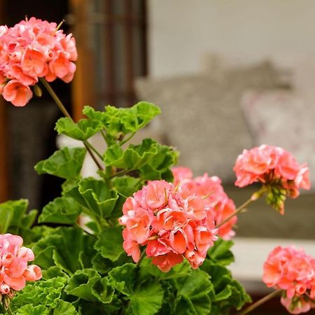 Matjiesrivier  Blue Lily Retreat B&B 외부 사진