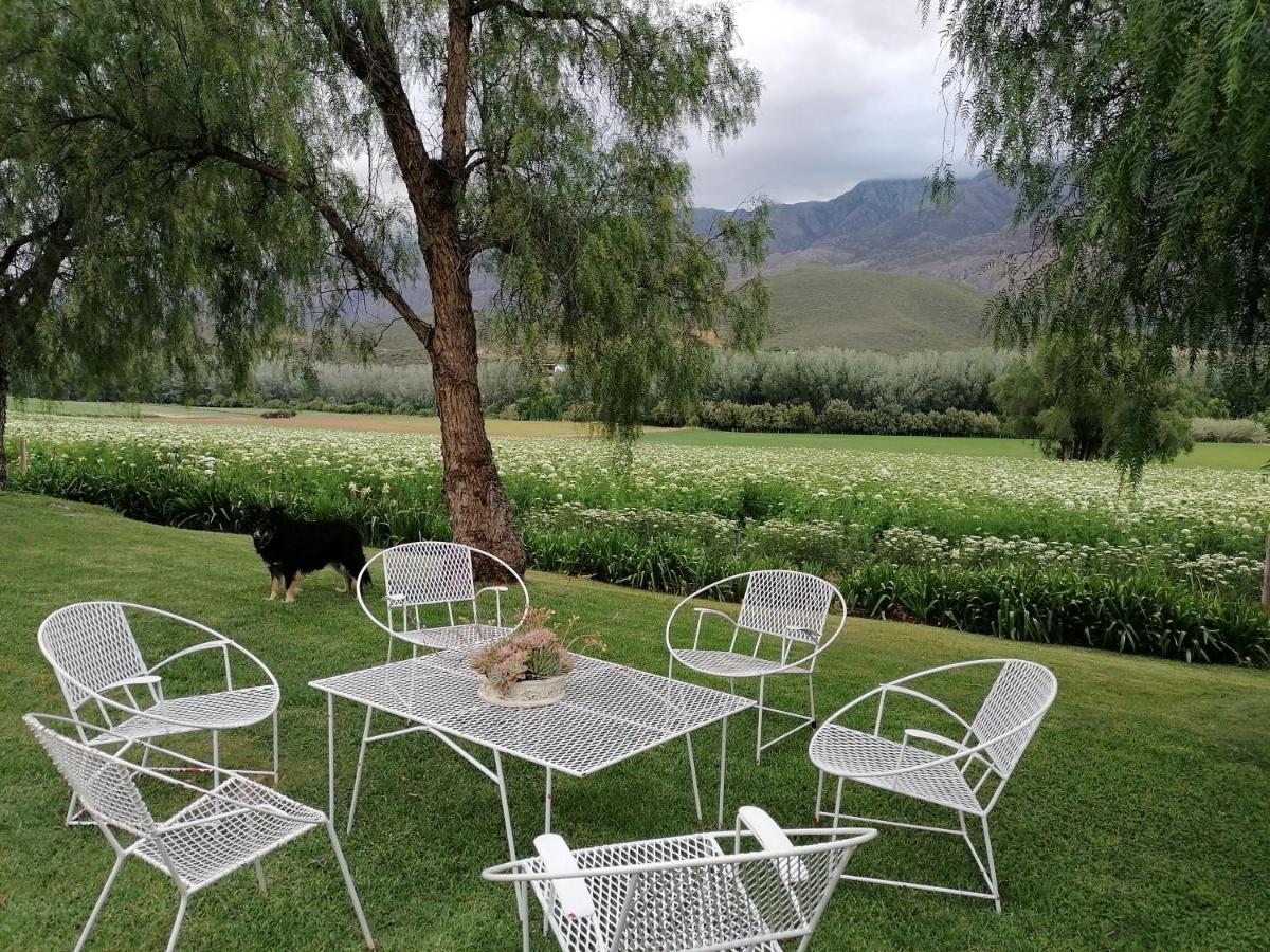 Matjiesrivier  Blue Lily Retreat B&B 외부 사진