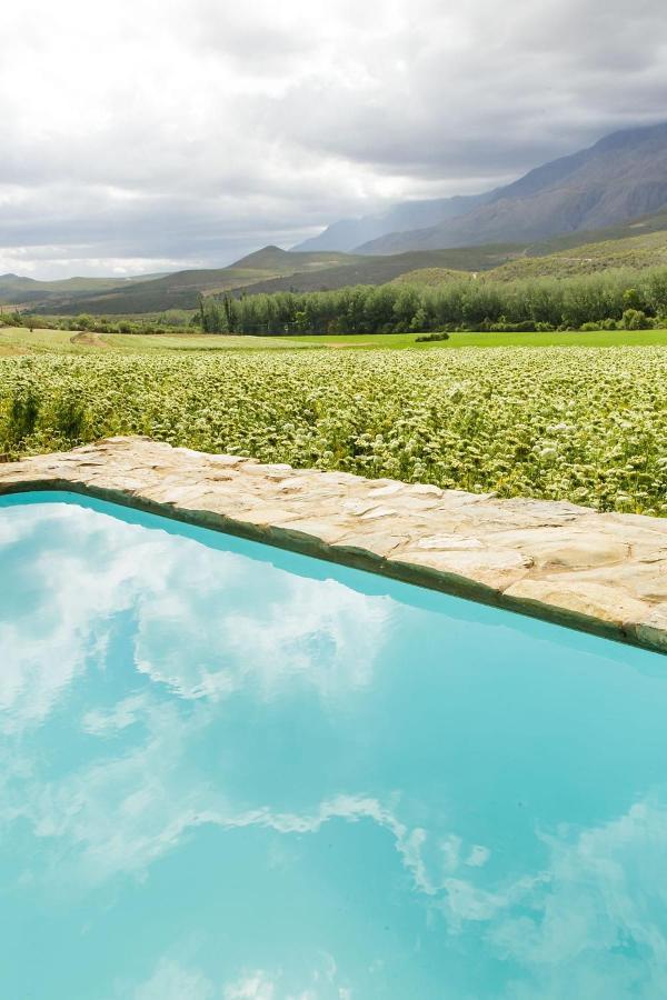 Matjiesrivier  Blue Lily Retreat B&B 외부 사진