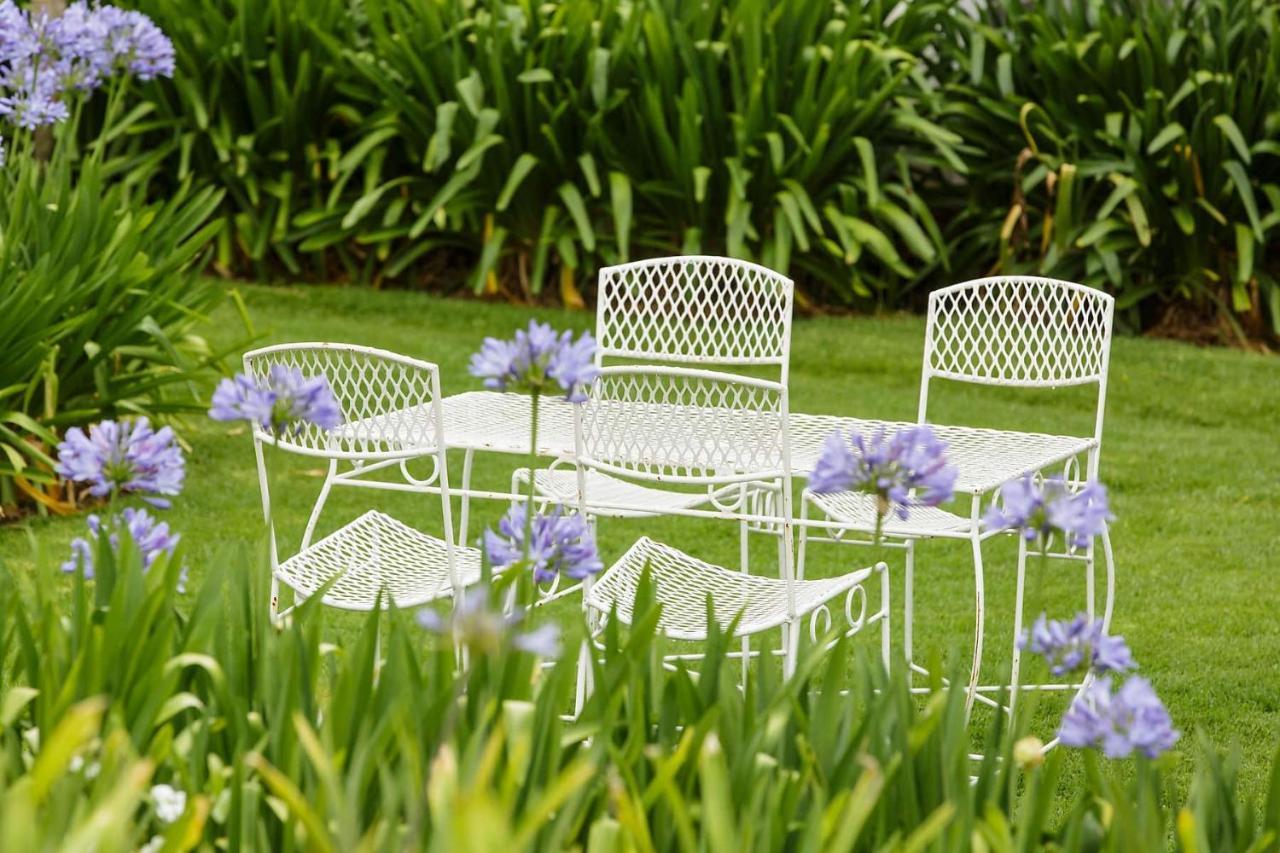 Matjiesrivier  Blue Lily Retreat B&B 외부 사진