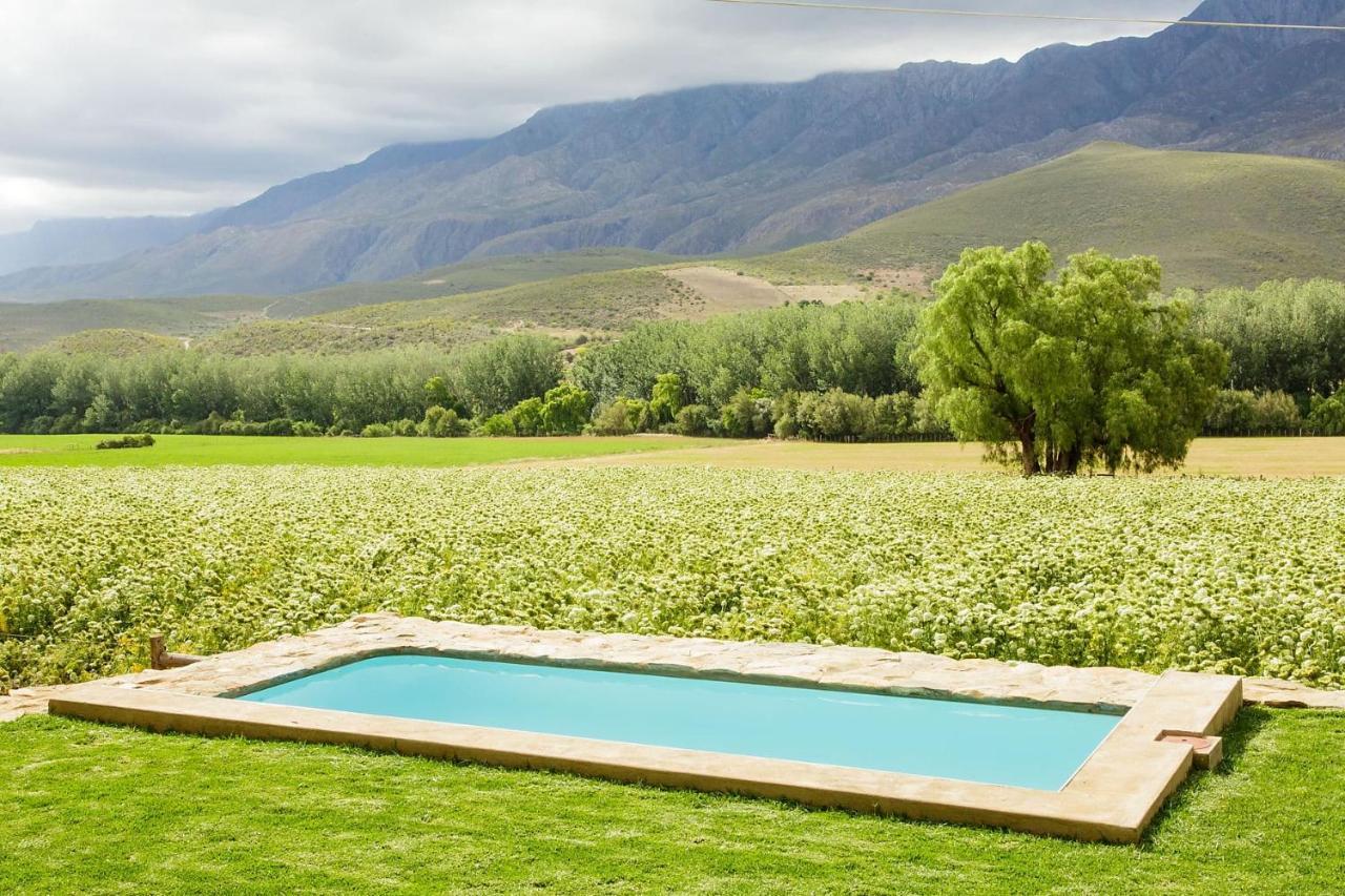 Matjiesrivier  Blue Lily Retreat B&B 외부 사진