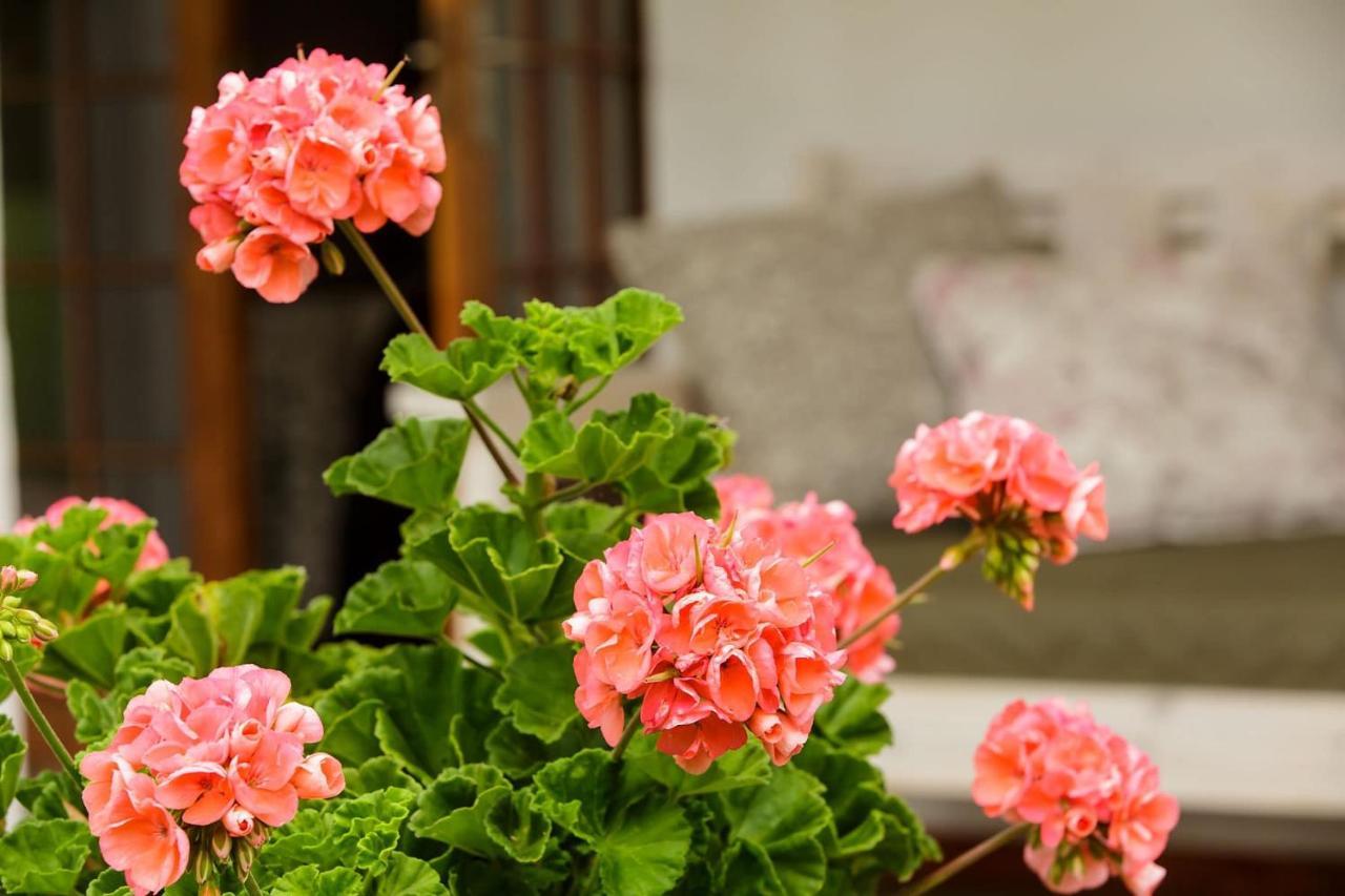 Matjiesrivier  Blue Lily Retreat B&B 외부 사진