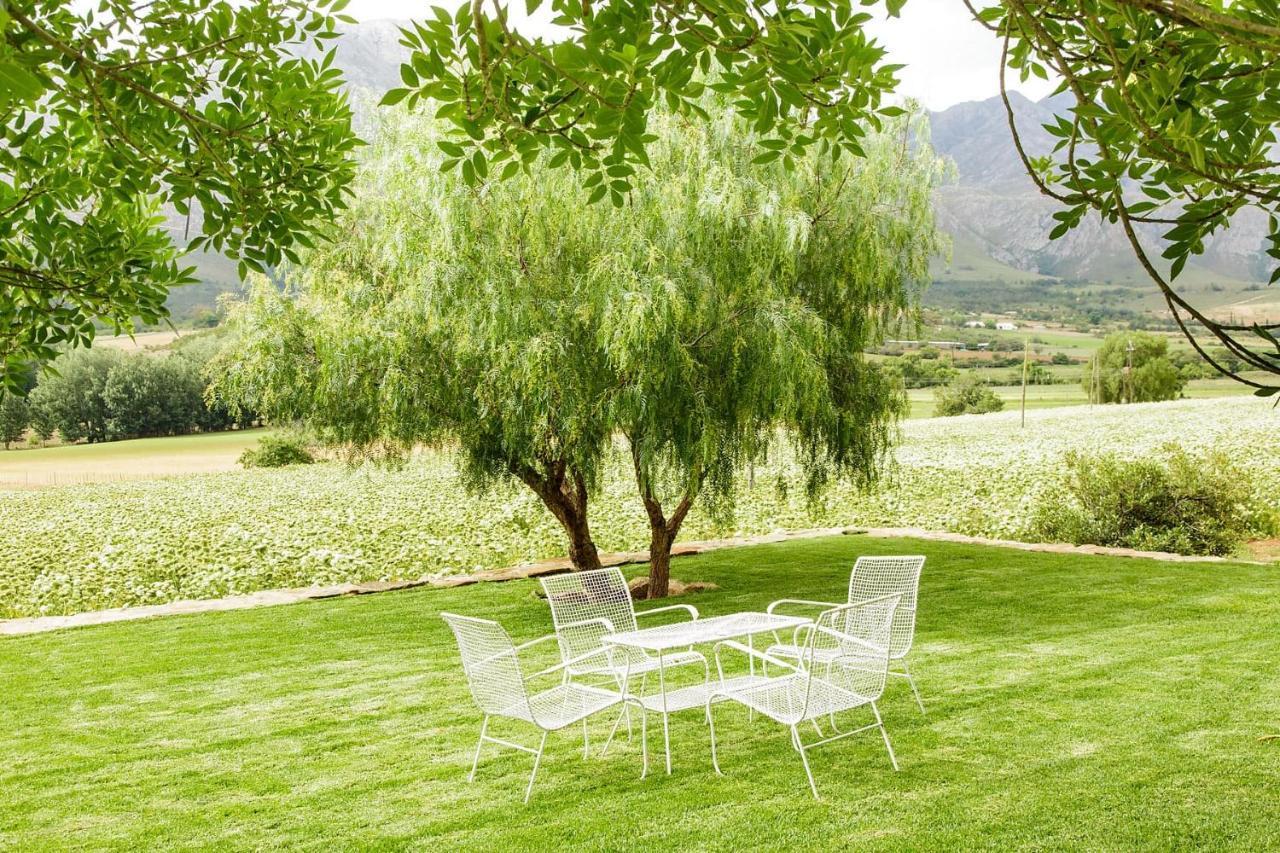 Matjiesrivier  Blue Lily Retreat B&B 외부 사진