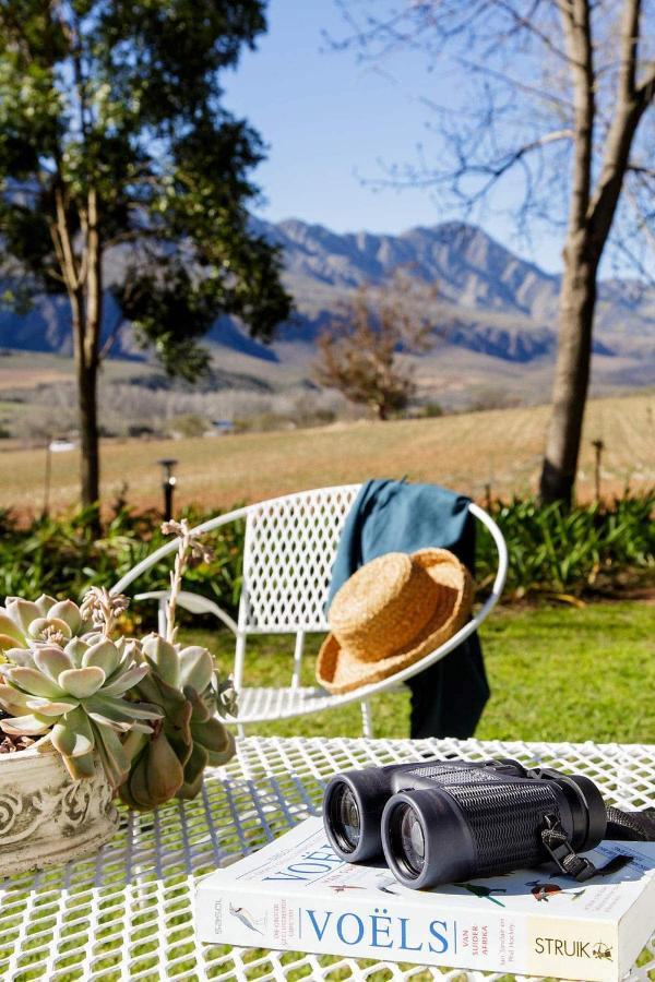 Matjiesrivier  Blue Lily Retreat B&B 외부 사진