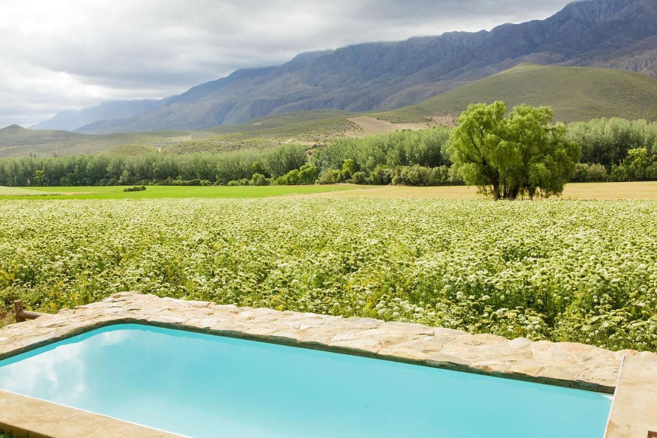 Matjiesrivier  Blue Lily Retreat B&B 외부 사진