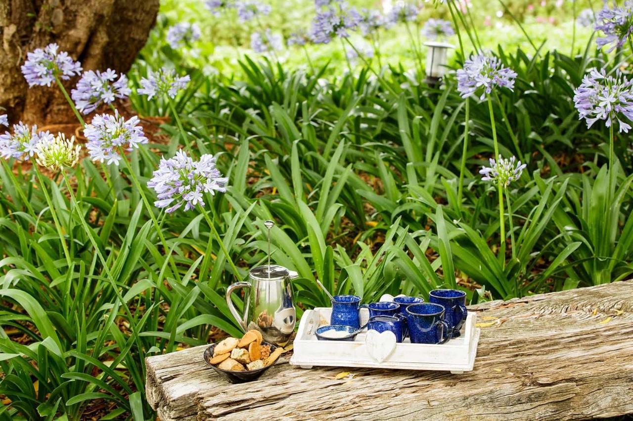 Matjiesrivier  Blue Lily Retreat B&B 외부 사진