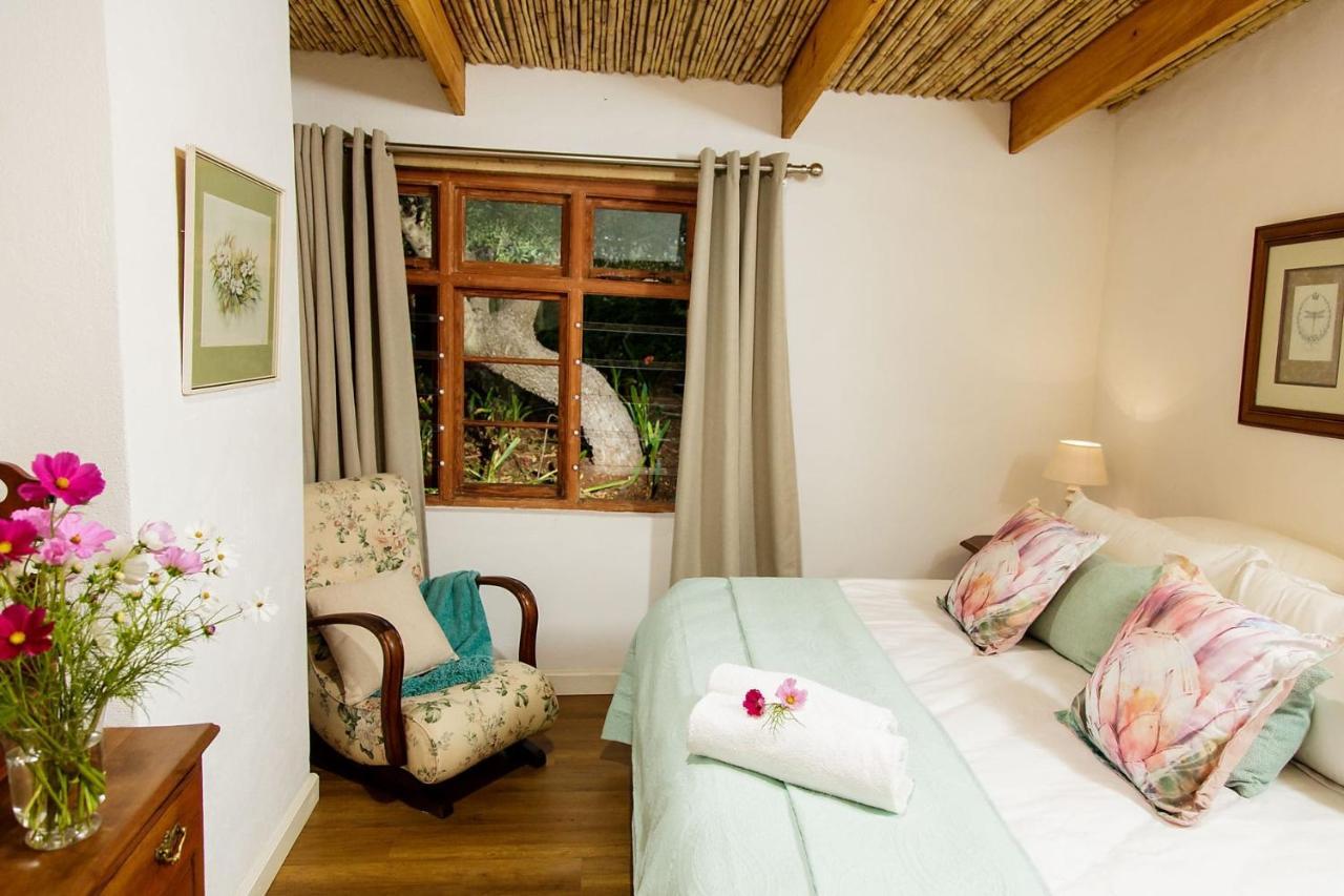 Matjiesrivier  Blue Lily Retreat B&B 외부 사진