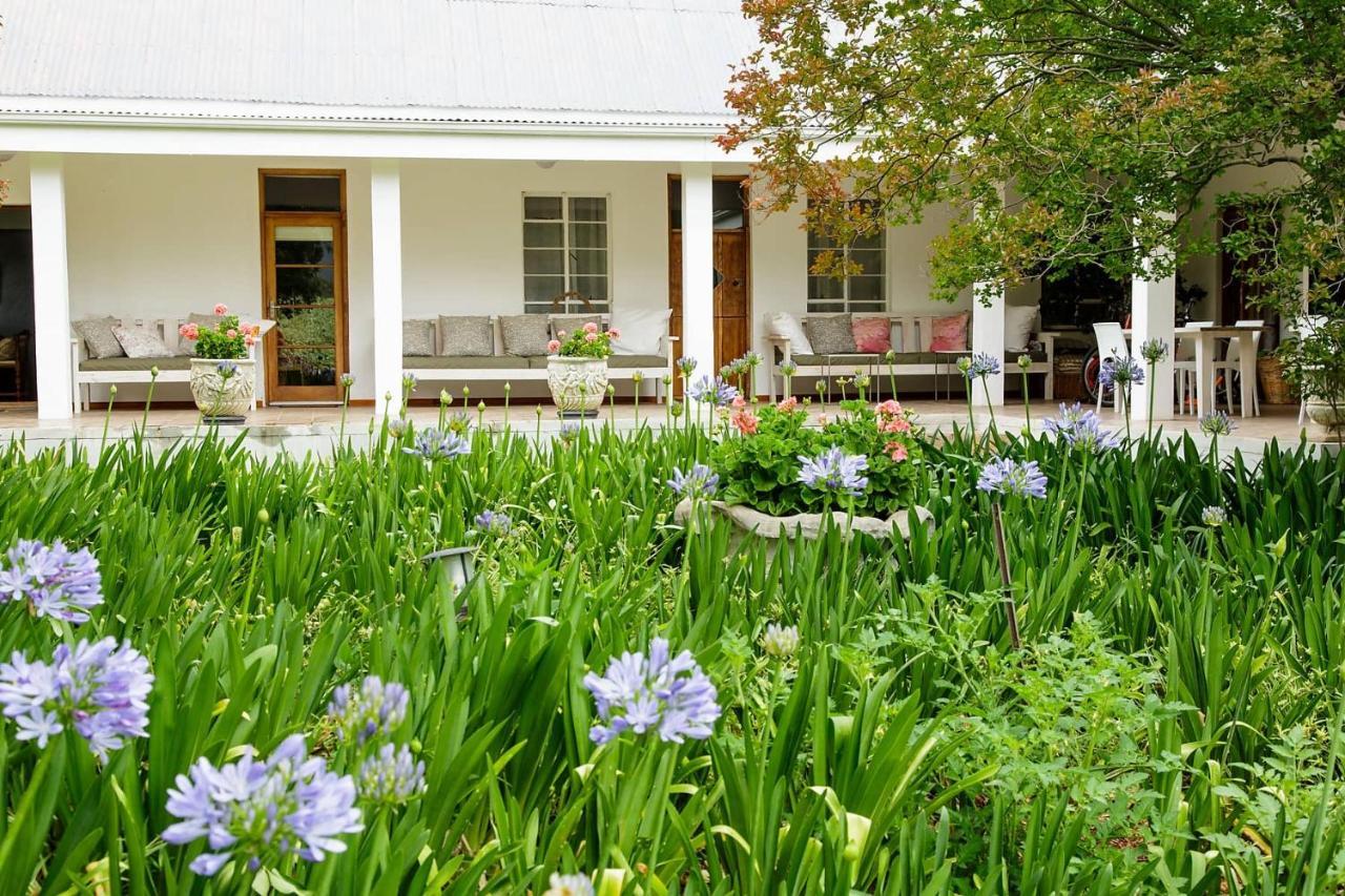 Matjiesrivier  Blue Lily Retreat B&B 외부 사진