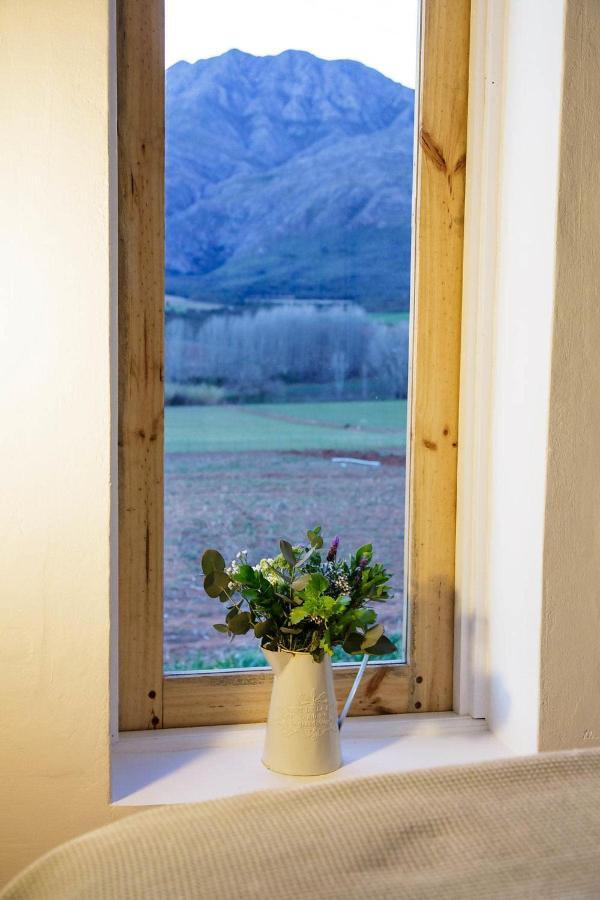 Matjiesrivier  Blue Lily Retreat B&B 외부 사진