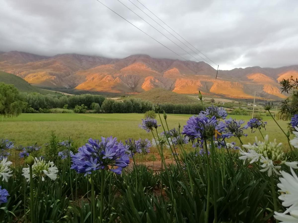 Matjiesrivier  Blue Lily Retreat B&B 외부 사진
