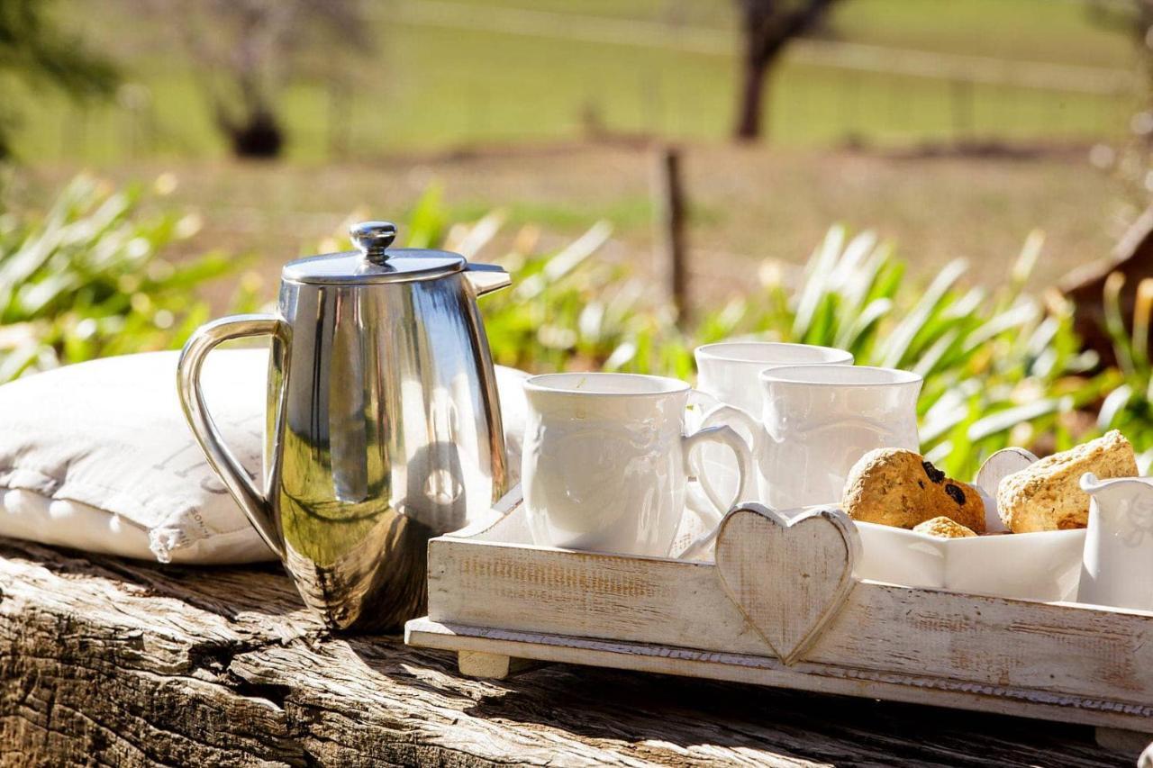 Matjiesrivier  Blue Lily Retreat B&B 외부 사진